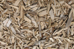 biomass boilers Ilkeston